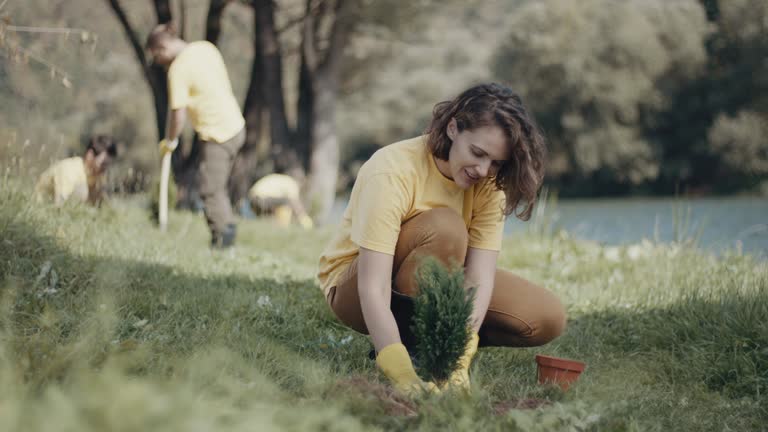 Best Root Management and Removal  in Kootenai, ID