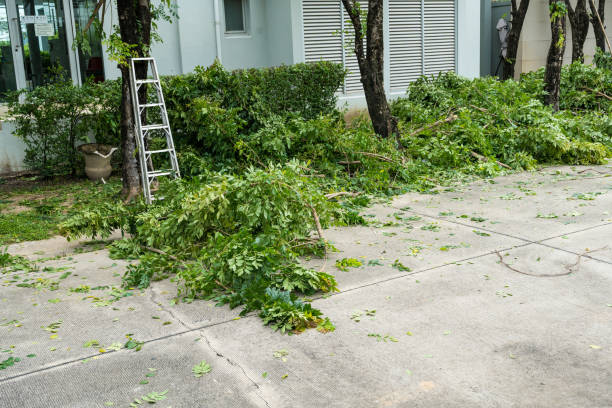 Best Organic Lawn Care Solutions  in Kootenai, ID