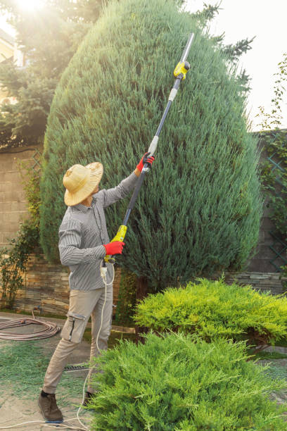 Best Storm Damage Tree Cleanup  in Kootenai, ID
